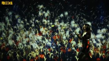 夏日花式玩法！极致视觉体验+五星级海鲜大餐，99元潮玩一整天