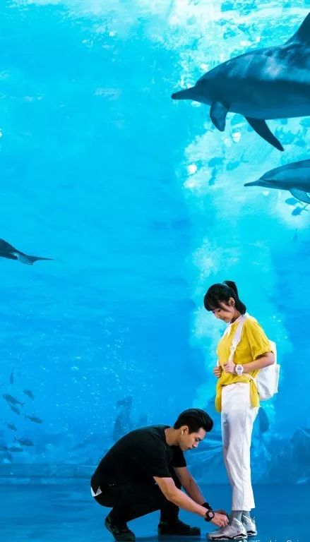 花钱减压|不在微博上买房都追不上现男友的预告了,韩商言你太上头