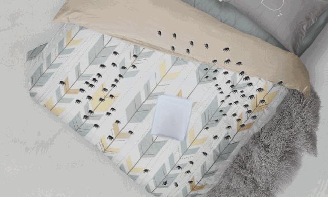 床上放个它，让螨虫绝望，让螨虫自杀，比太阳暴晒强1万倍