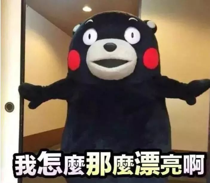 有个逗逼弟弟是个什么样的体验,一个逗逼老师的生活日常