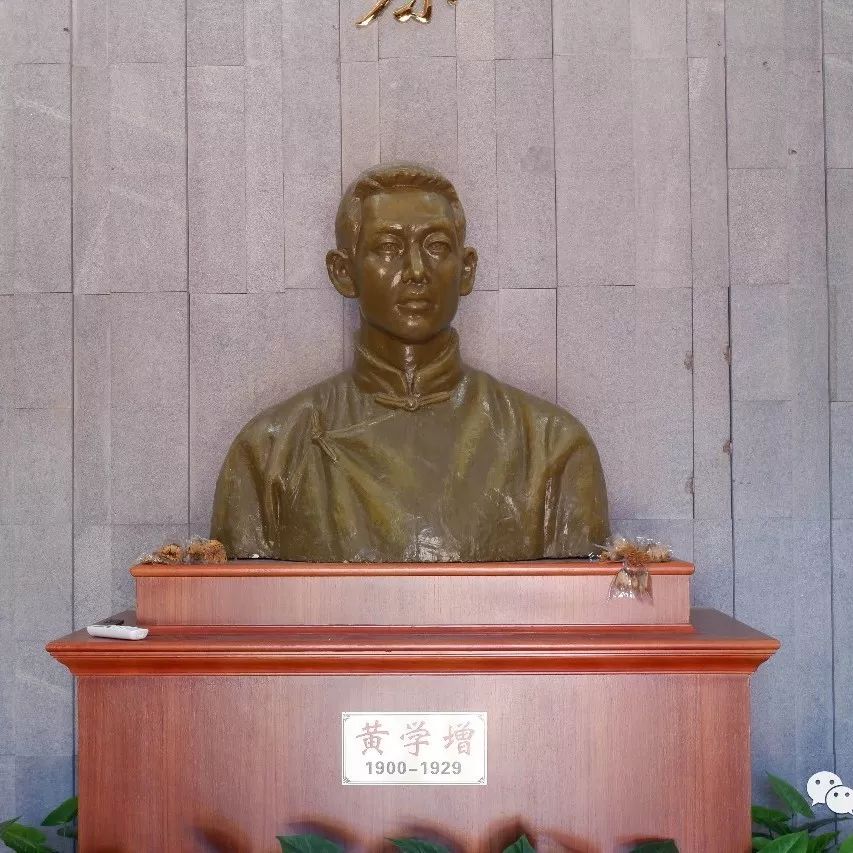 湛江有没有好景点,湛江有没有什么景点