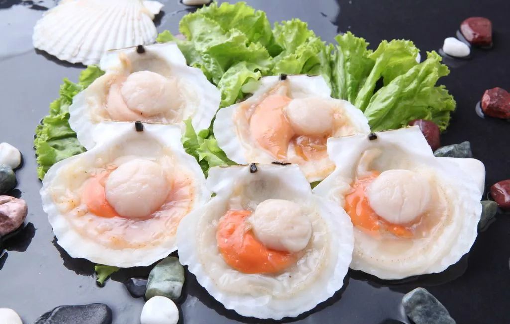 玉林侬，冲鸭！北海8月16日开海，教你在哪里买海鲜最新鲜，最实惠