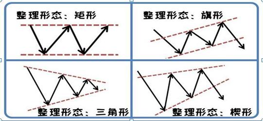 一个猴子的故事大全,一个猴子真实故事