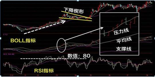 一个猴子的故事大全,一个猴子真实故事