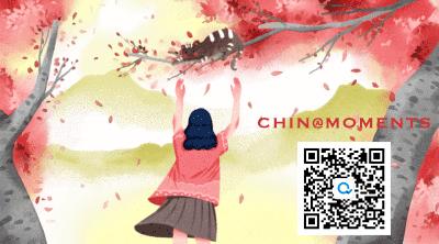 上海卫视双城记,上海蒙城双城记