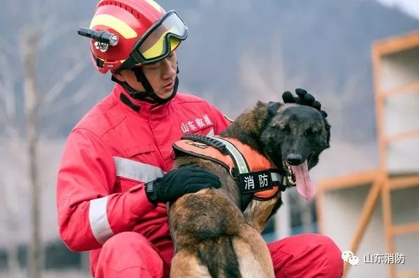 不忘初心警魂牢记使命,不忘初心牢记使命公益救援