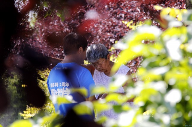 南湖湿地公园图片大全,南湖湿地公园四季风景皆美