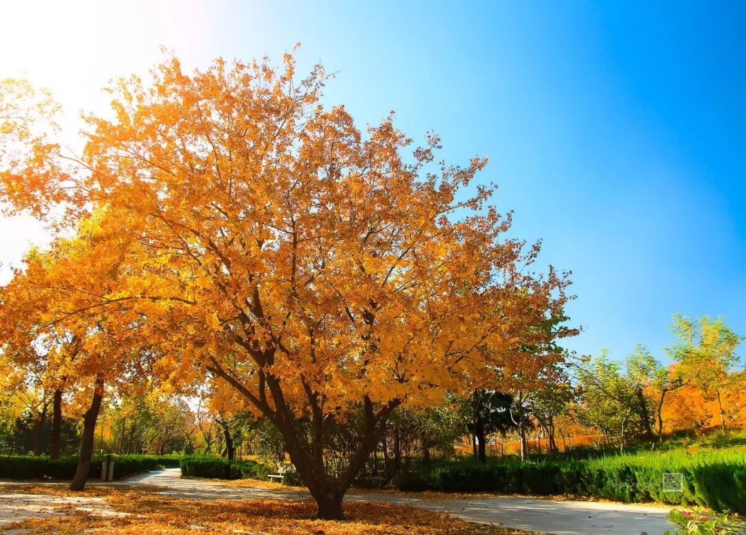 潍坊月亮湾,潍坊漂亮夜景