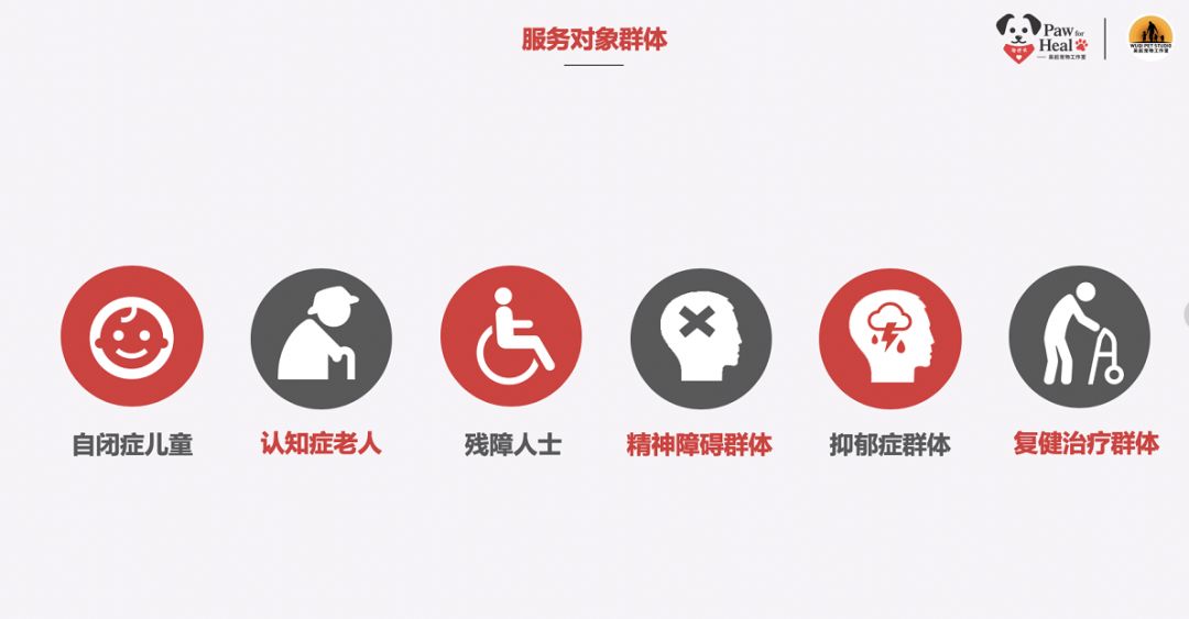 用生命影响生命朗诵央视,用生命影响生命手语朗诵