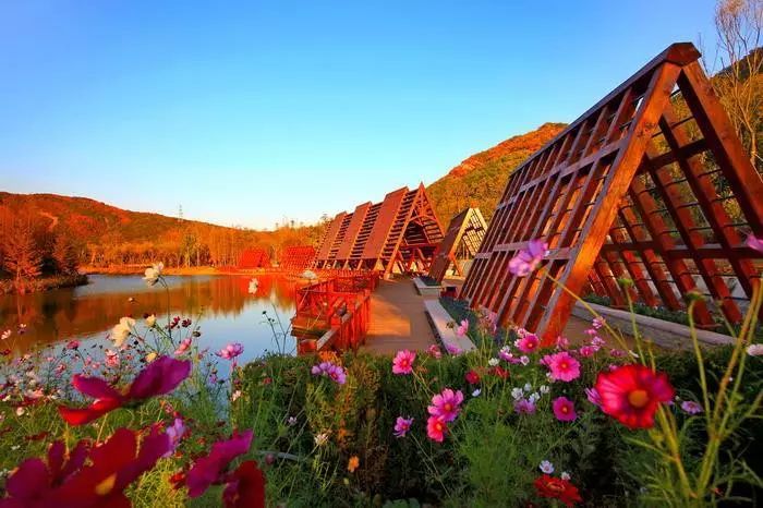 旅行春色棠梨湖公园,旅行大连棠梨湖公园秋叶风景