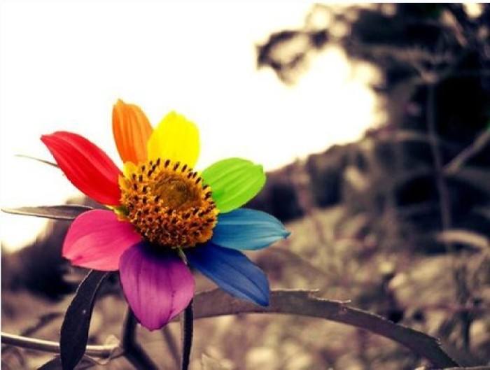 干脆点的拒绝就是一种负责,干脆拒绝犹豫答应是一种高情商