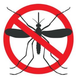 美洲传染病,美洲传出来了多少病毒