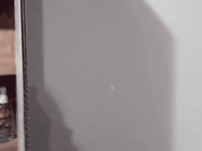 眼睛会发光的小虫,眼睛里有小虫子爬的感觉是咋回事