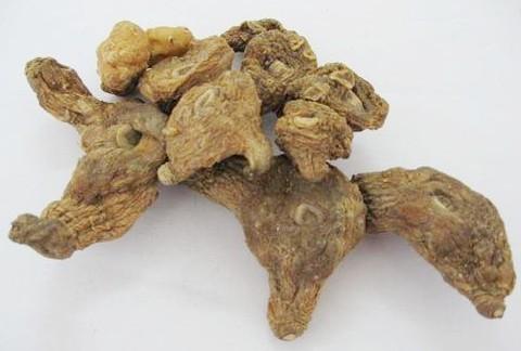 找个药材合作种植,找合作伙伴种植药材苍术