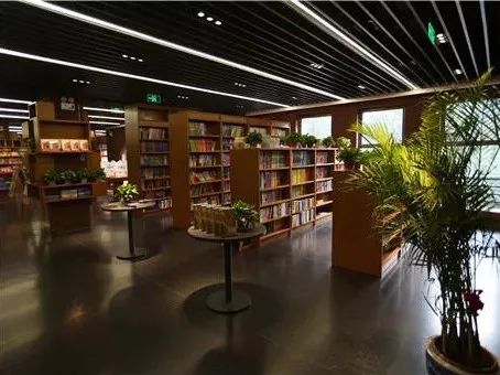 都上央视了！大学校园书店怎么突然这么火？