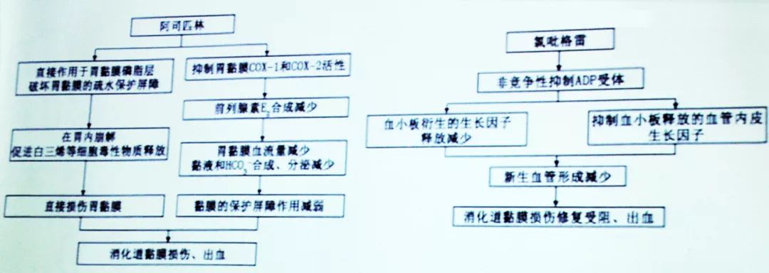 李自成：双抗治疗过程中发生出血如何处理？｜OCC2019