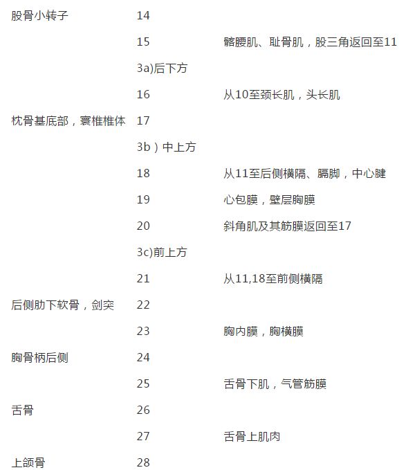 康复治疗技术人体解剖学,12条筋膜链解析及治疗手法