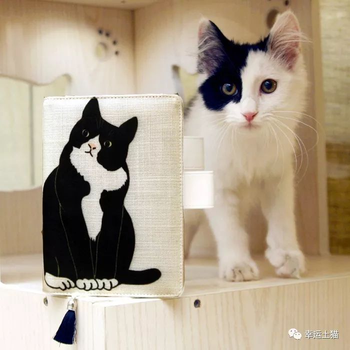 骞歌繍鍦熺尗骞垮窞,骞歌繍鍦熺尗涔夊崠