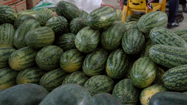 广州市水果市场热闹吗,广州水果市场有杨梅