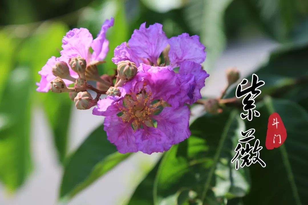 喜欢拍照的快来打卡,想去拍照的景点