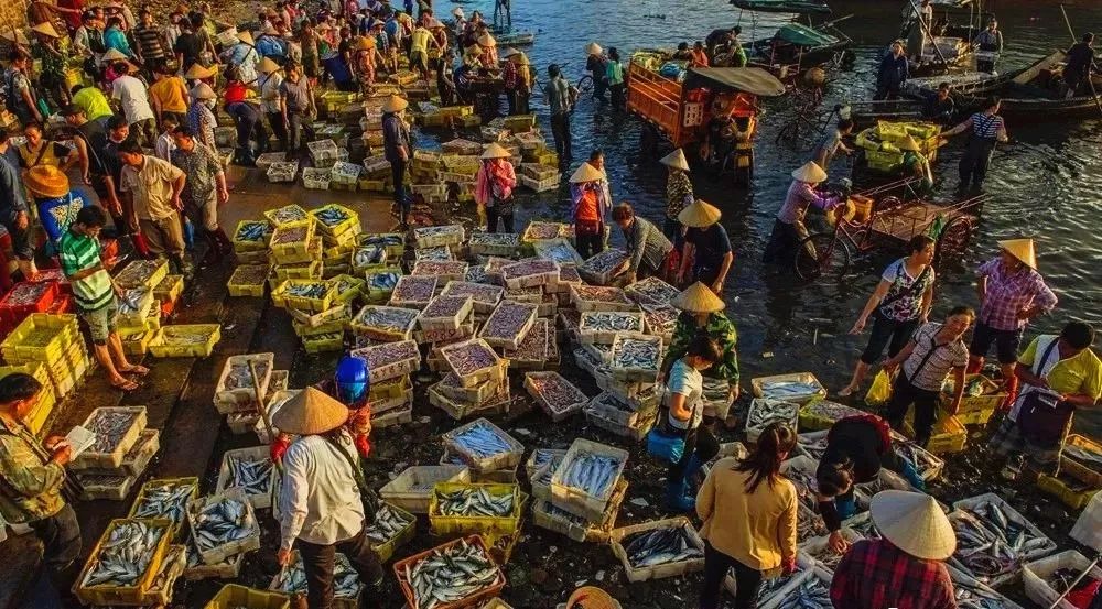 提醒吃海鲜的人们,广西开海节吃海鲜