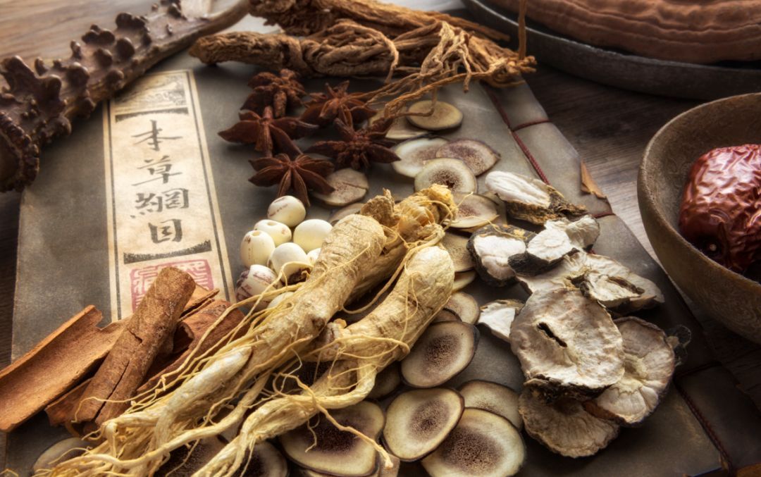 中医药国际化路径论文,中医中药发展的政策