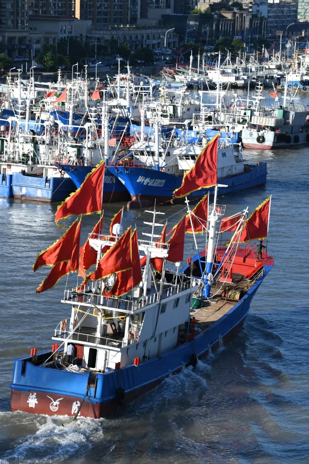 鑲ョ編鐨勫ぇ娴烽矞,鑲ョ編鐨勫ぇ姊瓙锜瑰張鏉ヤ簡
