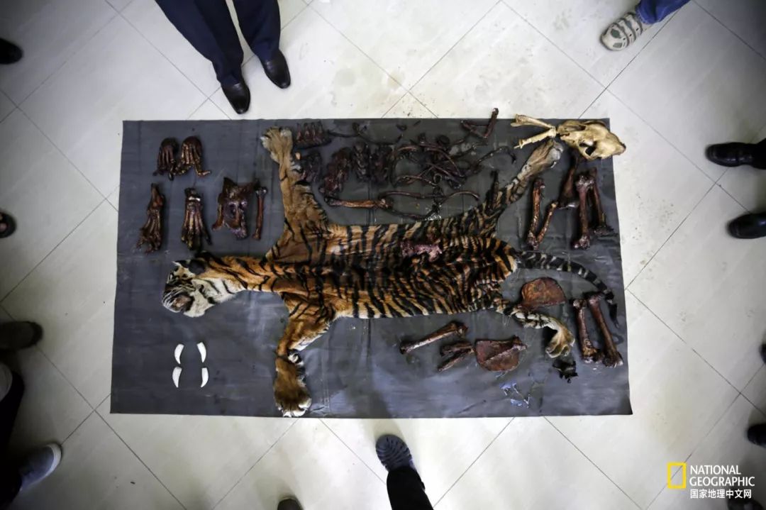 “谢谢你们，我们终于快死光了”