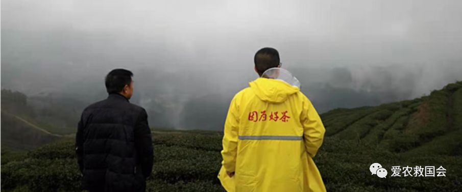 宀╄尪鍒惰尪鏁欏,鍒惰尪宸ヨ壓涓庤尪鏂囧寲