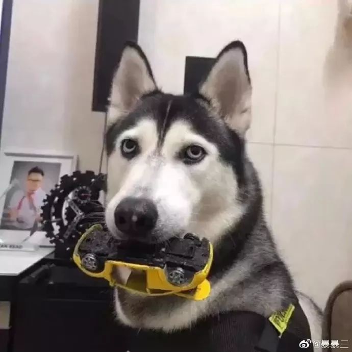 钢铁直男现场示范，如何做一个体贴的男人…哈哈哈哈哈哈哈哈