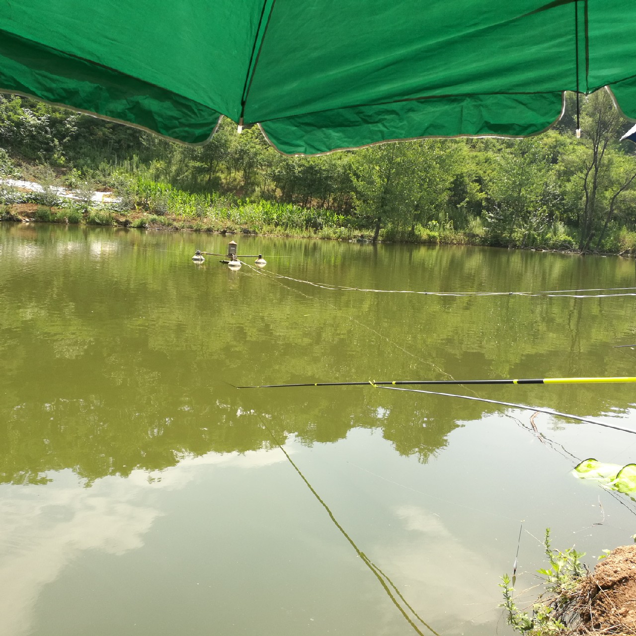 黑坑第三站小寨水库，竿断脆响人郁闷...