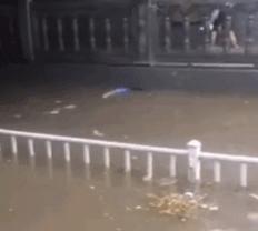 100张暴雨图片,暴雨4张图片