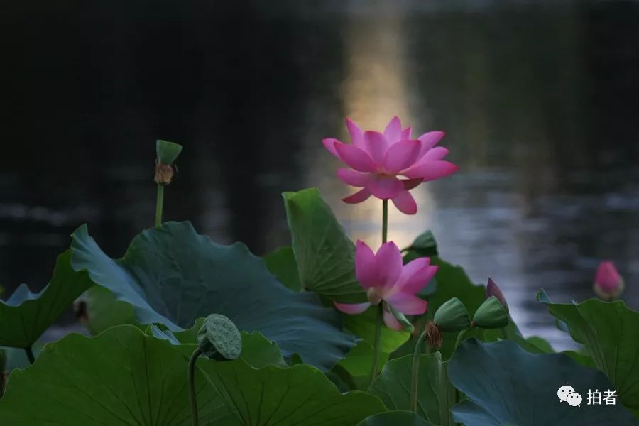 7月31日视频,7月精彩瞬间