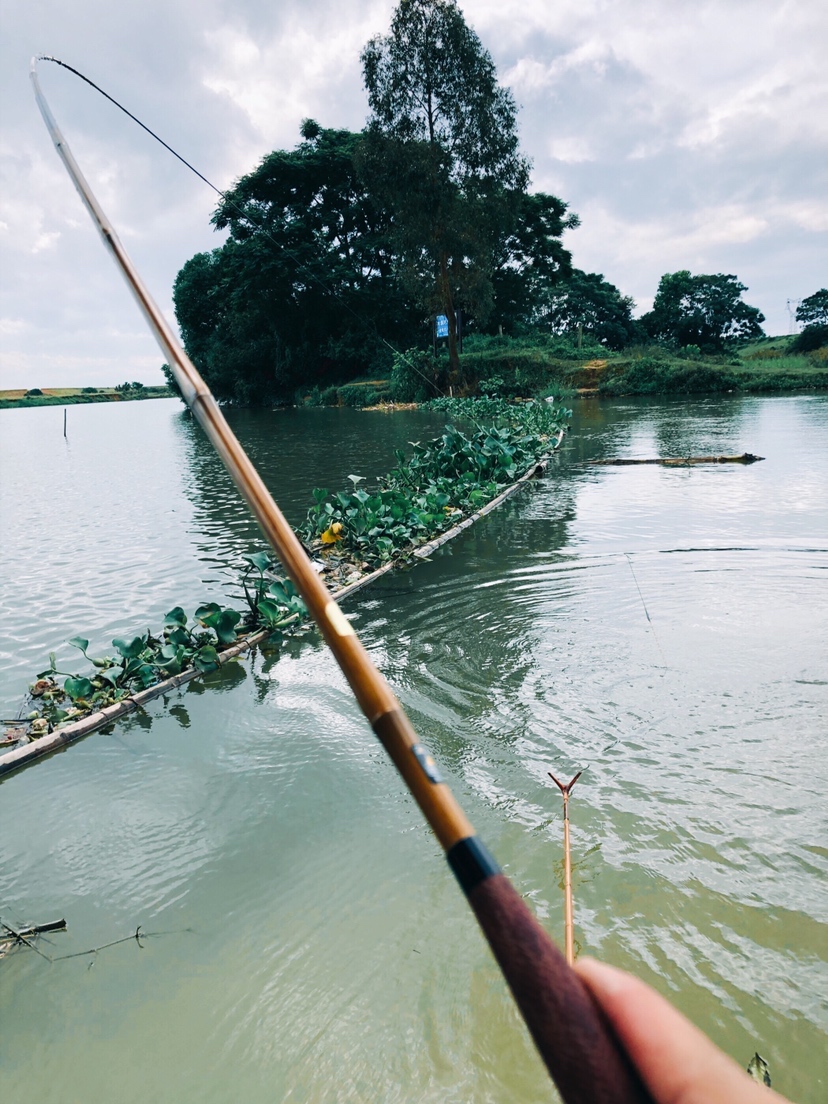 钓鱼装备全套小型鱼竿推荐,私人订制鱼竿路亚