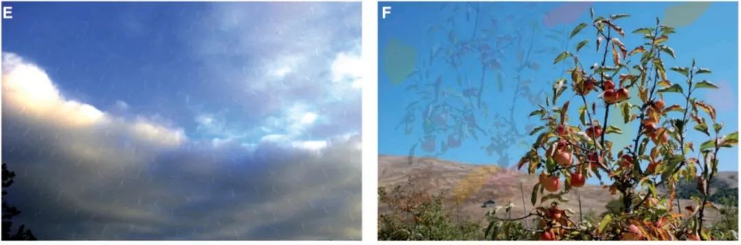 雪花综合征,视觉雪花综合症是先天性的吗