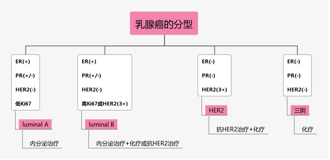 火速收藏视频大全,乳腺癌的冰冻病理报告单