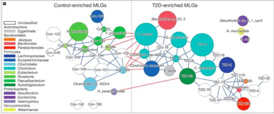 akk益生菌有什么功效,万能益生菌效果怎么样