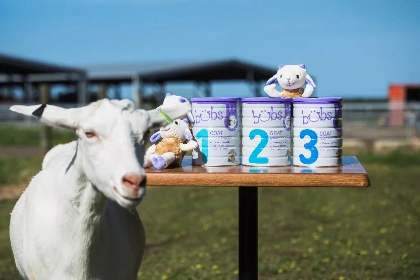 风很大美赞臣,风很大的国产奶粉