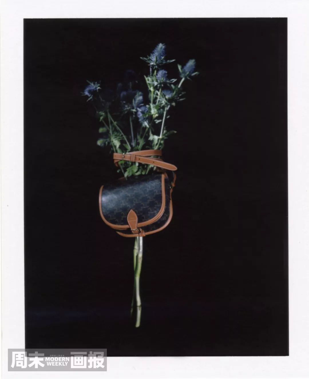 2021所有电视剧的cp,2022年剧集cp排行榜