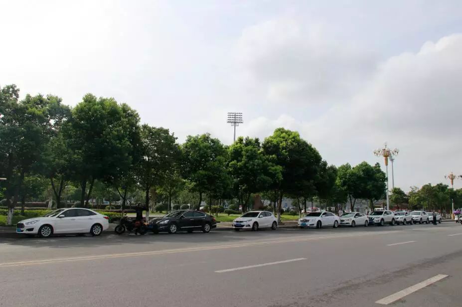 购购购！今天这里超热闹