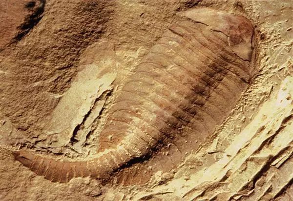 认识世界从哪里开始,认识世界从认识什么开始