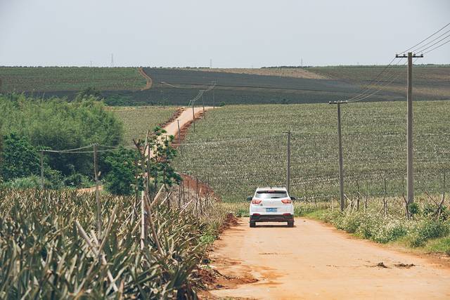 中国大陆最南端湛江旅行攻略,中国大陆最南端湛江景点