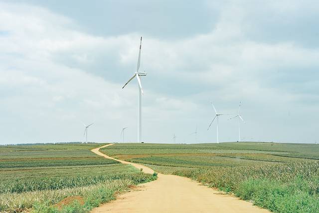 中国大陆最南端湛江旅行攻略,中国大陆最南端湛江景点