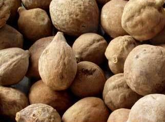 昔日女神负面消息缠身险过气,转手做生意却搞得风生水起