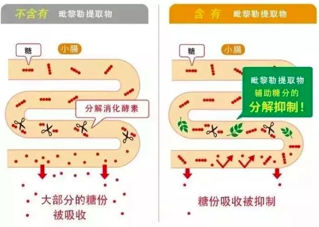 昔日女神负面消息缠身险过气,转手做生意却搞得风生水起