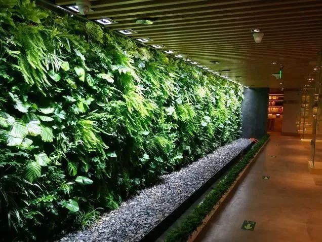 最美书店网红打卡地,不能错过的网红书店