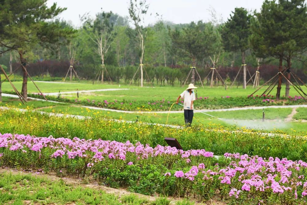 这一年的变化翻天覆地,昌平县城的现状