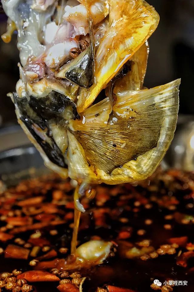 附近美蛙鱼头的正宗做法,最地道美蛙鱼头