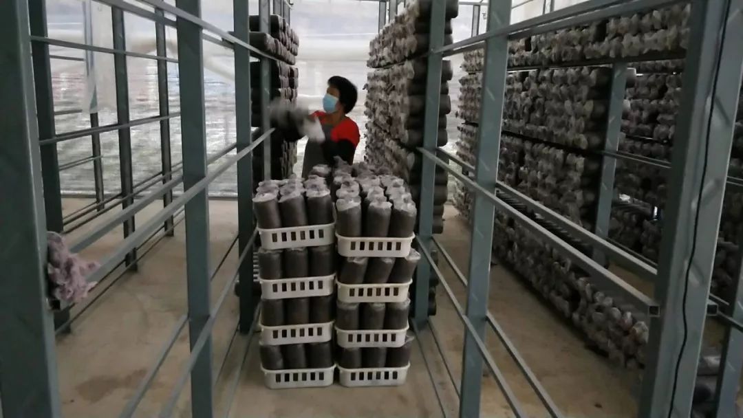 壮丽70年城乡发展,壮丽70年广西篇