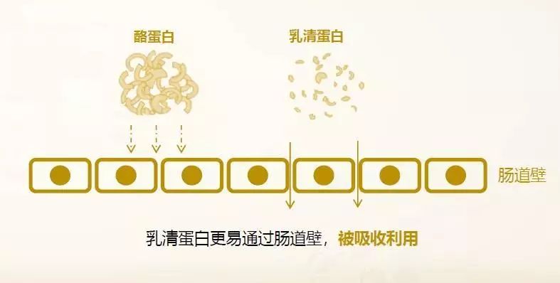 中国式育儿和美国式育儿的区别,中国和西方育儿区别是什么